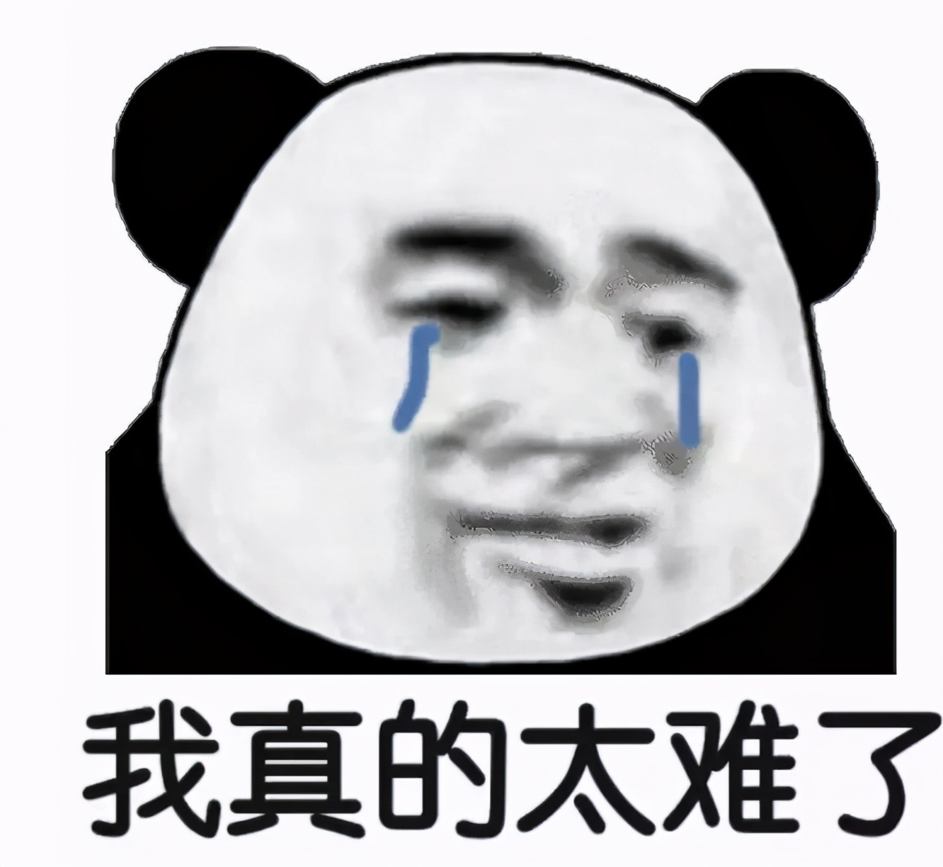 00后|00后毕业生辞职信走红，理由过于嚣张，网友：任性的打工人