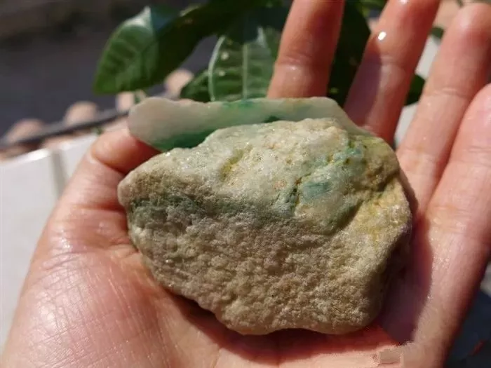 博物馆|夜市买的翡翠原石直接切开，收获一双飘花挂件