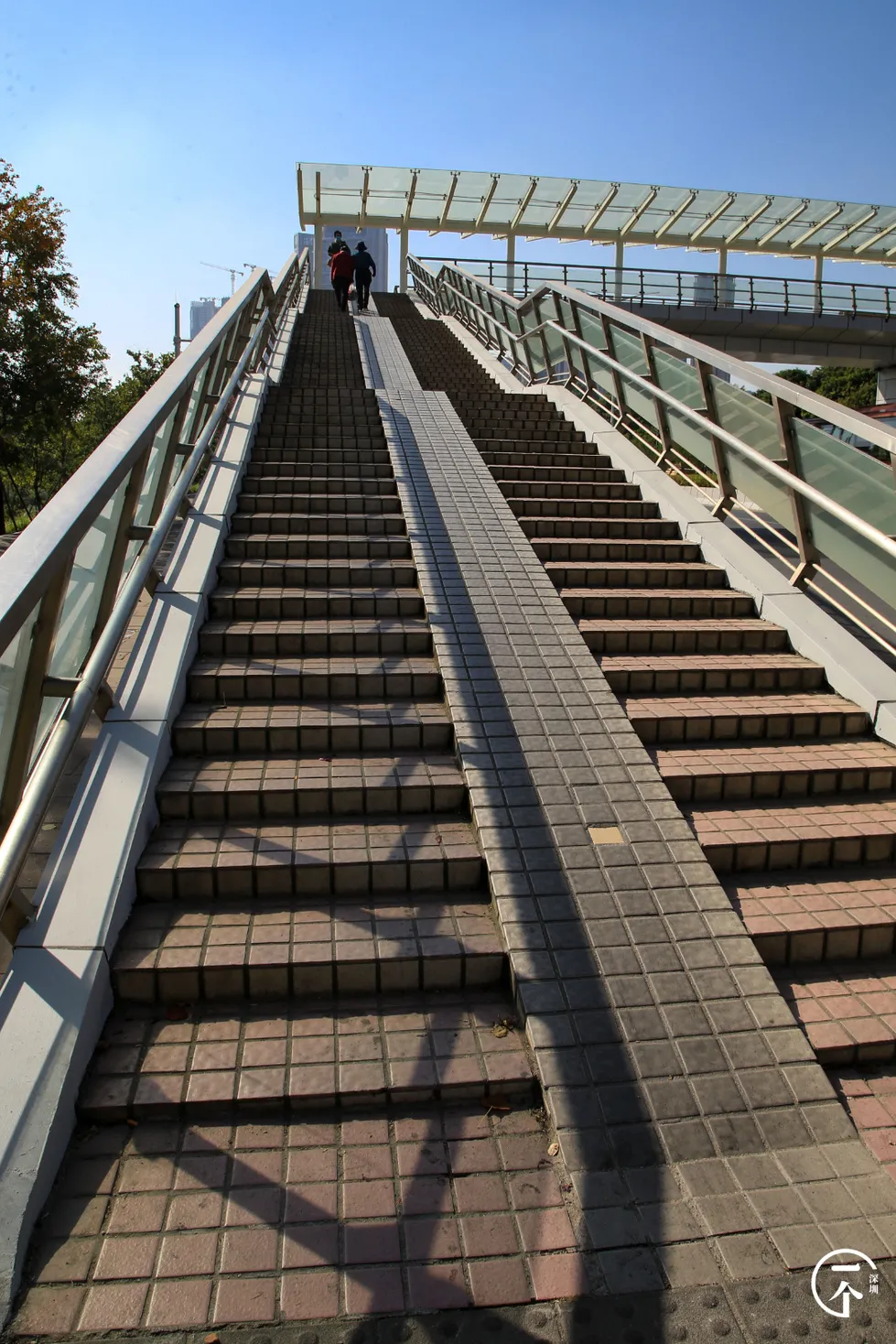 楼市|误入南山“少林村”，月入过万只能勉强合租？