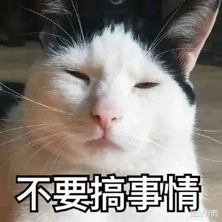 火箭队|致敬偶像!问题少年又惹事,火箭心寒..