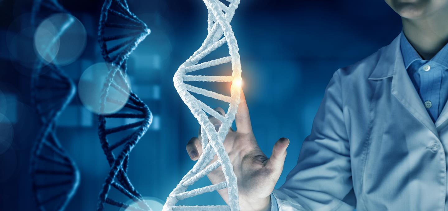 恐龙 人类仅用300万年就进化出了智慧，为啥恐龙存在上亿年还是野兽？