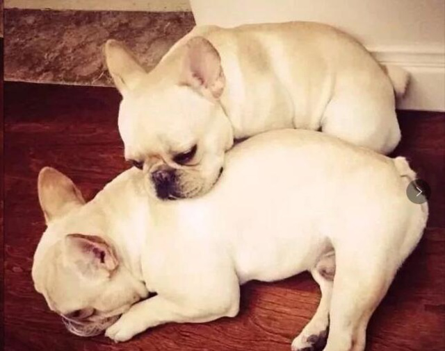 贾玲|深扒《你好李焕英》五大隐藏细节，太戳心了，你看懂了吗