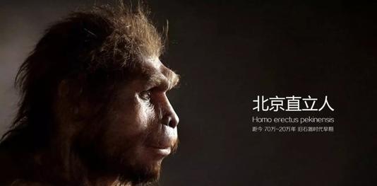 你还敢说人类是进化而来的吗?他们比我们更先进!