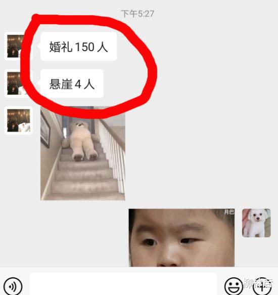 赵露思|赵露思和关晓彤主演新片，张艺谋被韩片打败