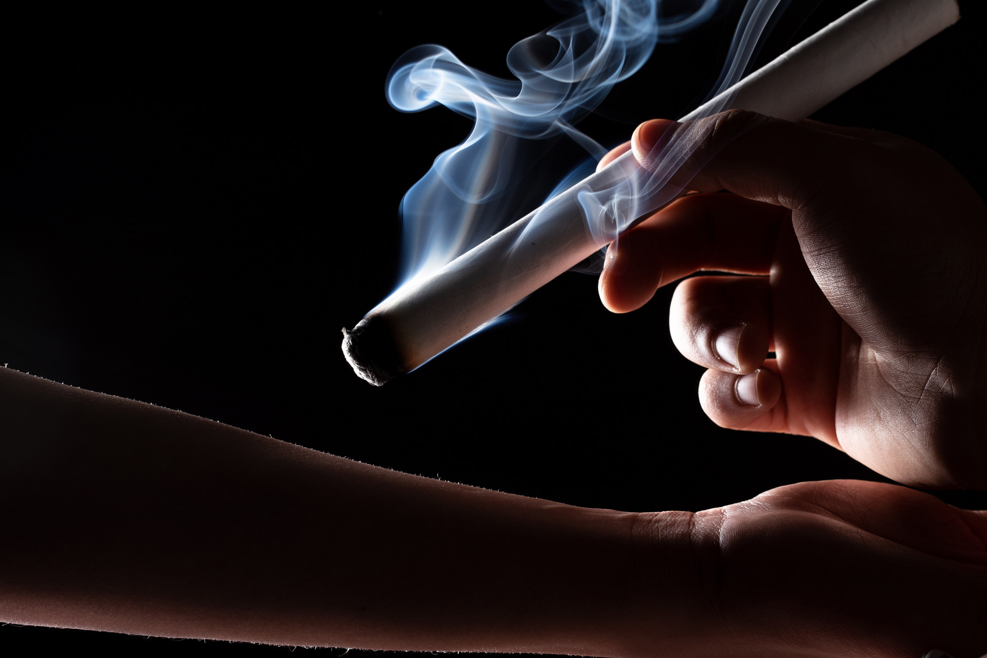 黄瓜|取一种平和，舍八种偏颇——阳虚体质