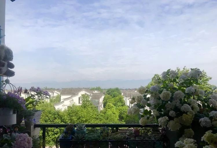 |3㎡的阳台能干嘛？这个宿舍小阳台花园或许会惊艳到你，看看吧！