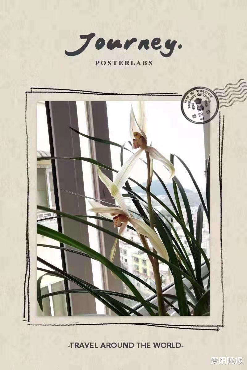 贵阳晚报 动动手指，就有丰厚奖品！好一多幸福年全家福征集活动只剩6天啦，快来找找您的作品在哪里