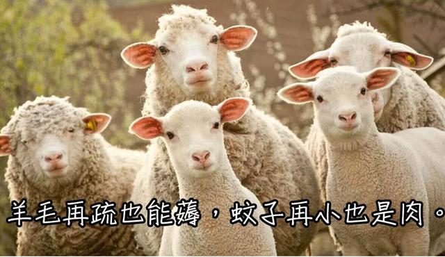 阿里巴巴|双十一吐槽大会：熬夜也抢不到的最优价格和一动不动的快递物流