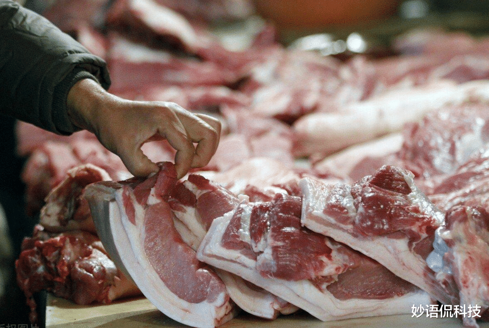 美团 猪价重回10元时代，老百姓却不愿买了，啥情况？专家说出实情