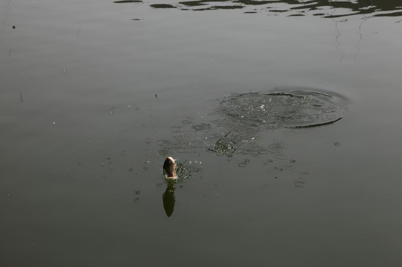 信用卡|冬季钓鱼，想要有好的鱼获，做到这两点就足够了