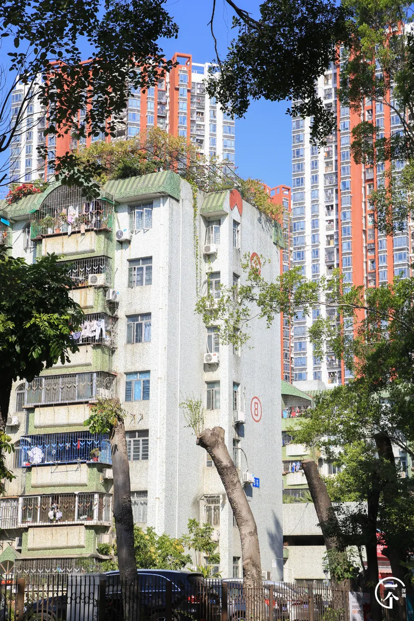 楼市|误入南山“少林村”，月入过万只能勉强合租？