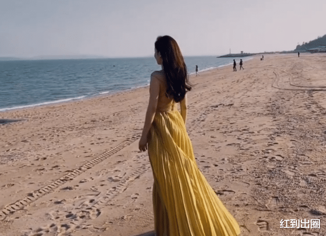 刘敏涛|45岁刘敏涛生图瘦成平板！在海边穿V领裙拍照，露出大片白皙美背