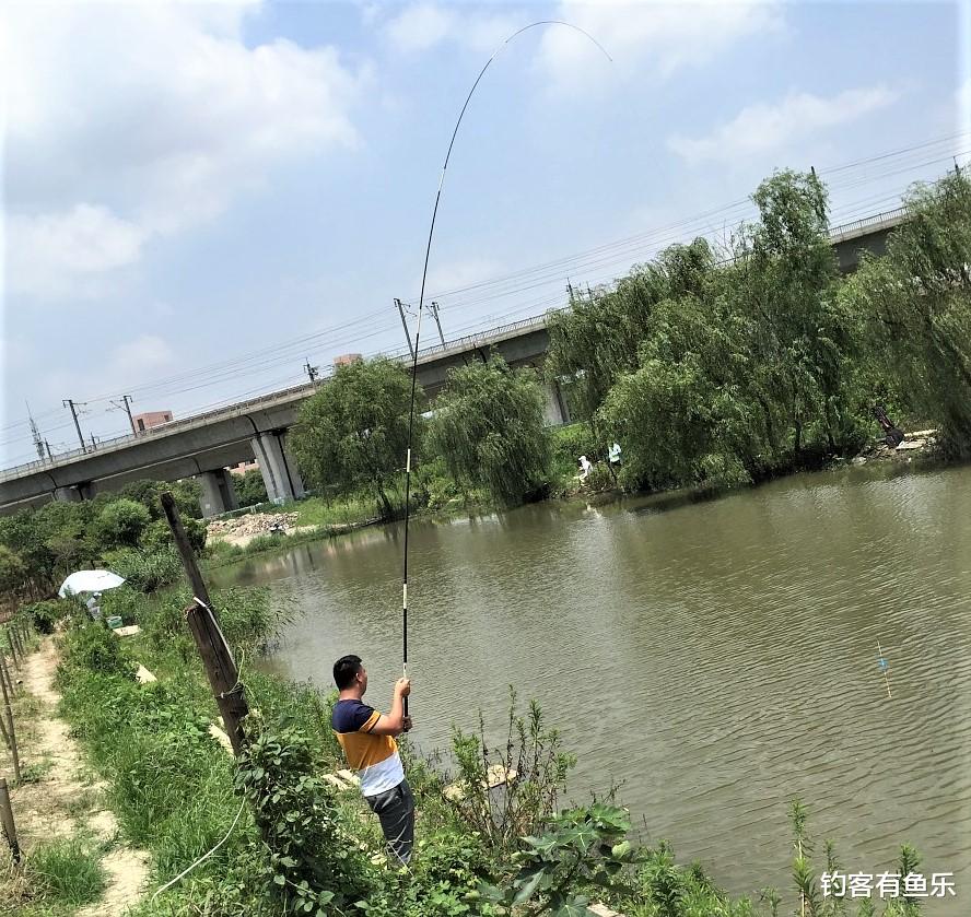 长沙|夏天钓鲢鳙，清楚几点要素，不会钓鱼的人也爆护