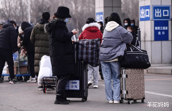 求职|“三本取消”一本二本将合并?被忽略掉的二本生,将何去何从?
