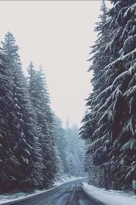 无论在哪里拍雪景，基本都逃不出这9种手法