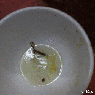 “朋友花一万买了辆二手车,有加塞直接胡撞,因为保险买了150万”