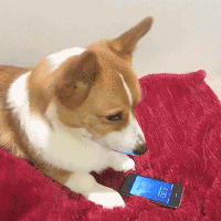 160健康研究所|手机深夜充电爆炸，男子右眼险失明！这些致命习惯你天天在做