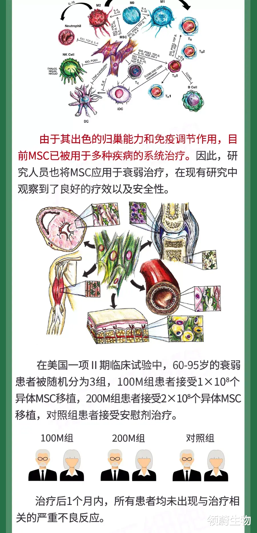 干细胞为衰弱患者带来高质量生活