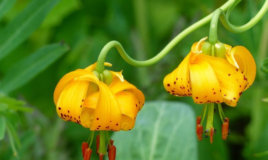 小幸运|2021下半年职场运极佳的星座，各种小幸运不断，事业发展势头迅猛