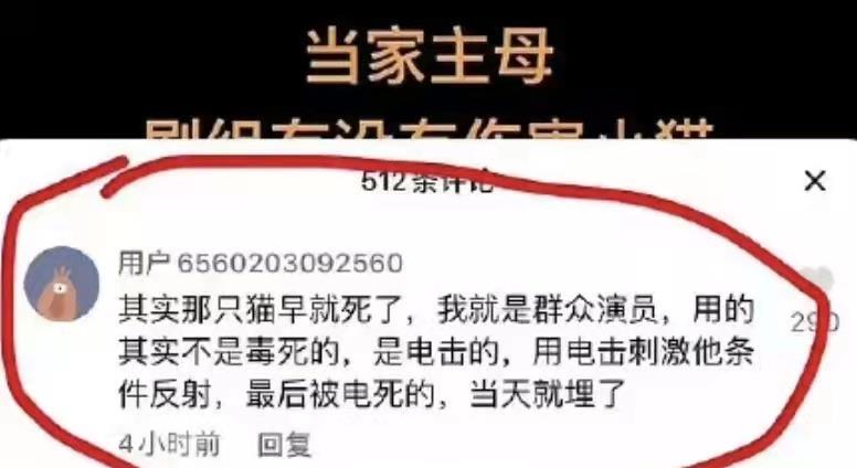 于正|于正“杀猫案”最新后续，更多猛料爆出：比起编剧，于正更像商人
