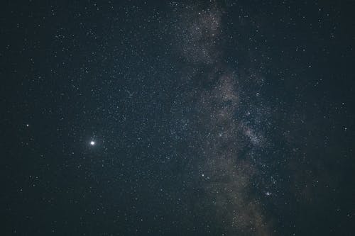 尼比行星鲁背后的真相
