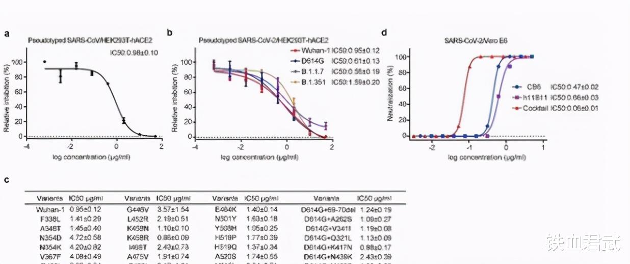 抗体 中国再次先行一步！中科院宣布重大好消息：新冠“克星”终于来了