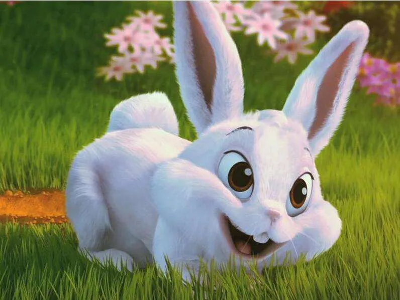 运势 9月28日 八月廿二,十二生肖运势与注意事项