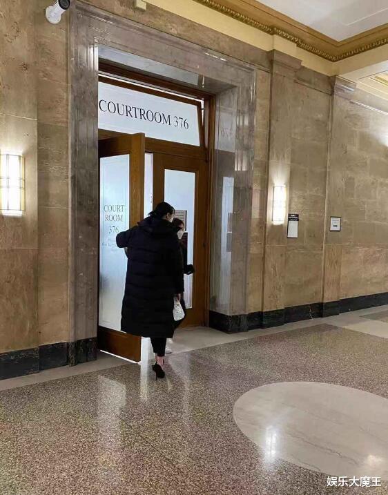 沈腾|郑爽出席庭审现场照曝光，脚踩高跟鞋太飒了，但庭审发言对其极为不利