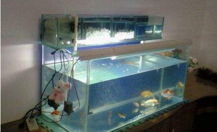 一旦家里有这几种迹象，万万小心，这预示着将有横祸发生！