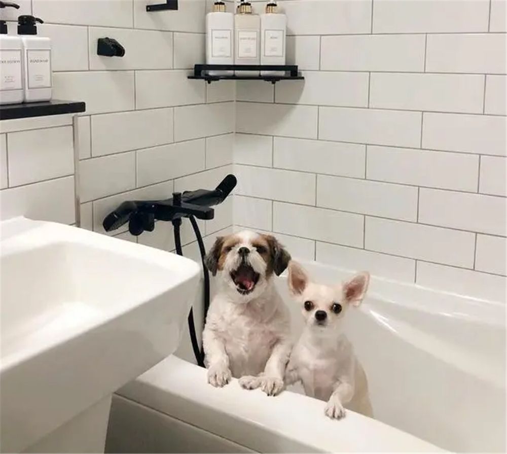 一位韩国太太的三口之家:粉色系装修一尘不染,小日子令人羡慕