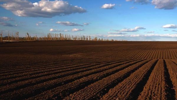 90后宝妈经验|“黑色产业”浮出水面,东北黑土正在被贱卖,有人净赚十多万