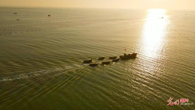 光明网视频 山东荣成:海上“春耕”忙