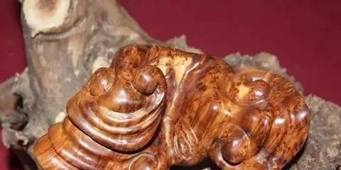 麻梨疙瘩|硬核手串！这样的好珠子不能被埋没！