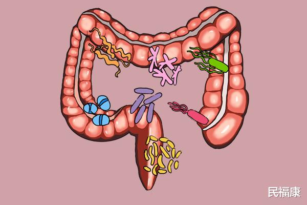 儿童健康|天气转凉,要不要给小孩吃打虫药?怎么预防寄生虫?家长了解下