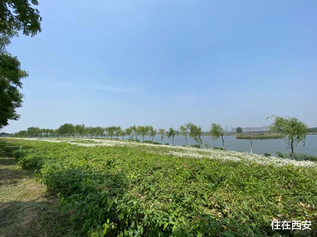 恒大|实探！高铁新城绿城、经发、绿地地块开发进度，经开第五学校进展！