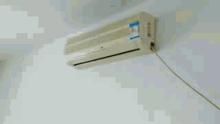 张卫健|“猜猜我在张卫健版本的西游记里发现了谁？”