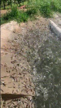 |“姑娘，在办公室千万要注意坐姿，被领导发现了会很尴尬”