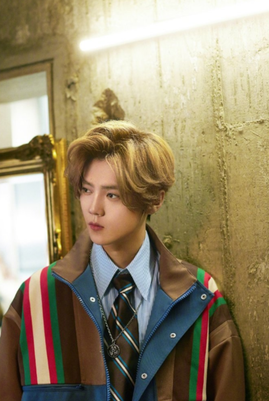 赵丽颖|曝《一人之下》开始选角,女主周也还好,但看男主:房子塌了