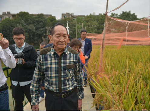 袁隆平|袁隆平家人首次亮相：妻子身份背景罕见曝光，3个儿子也个顶个牛