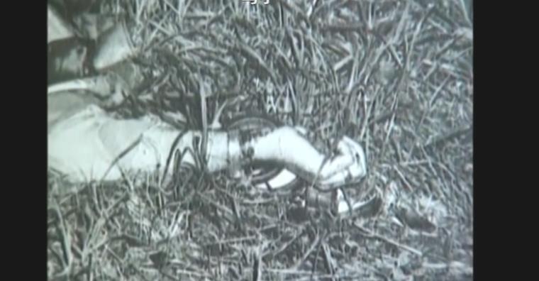 医生 美国杀人案: 是意外还是谋杀？墓室里的尸体隐藏着怎样残忍的真相