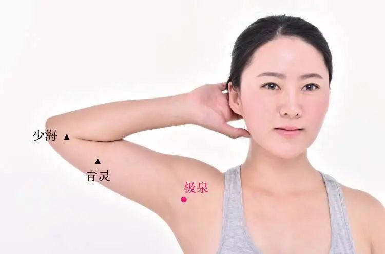 萝卜|像数健康 | 十二经脉系列第三期:“手少阴心经”,经络穴位深度详解(附图解)