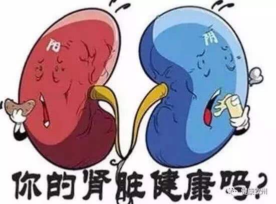 痤疮|肾脏专科医师:把三高控制好,肾脏负担就减少 饮食控制烦恼多?营养该怎么补?