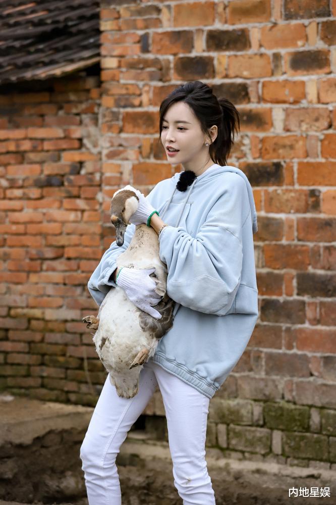 于文文|《麦咭小厨2》于文文徒手抓鹅 张亮为找食材变身钓鱼达人