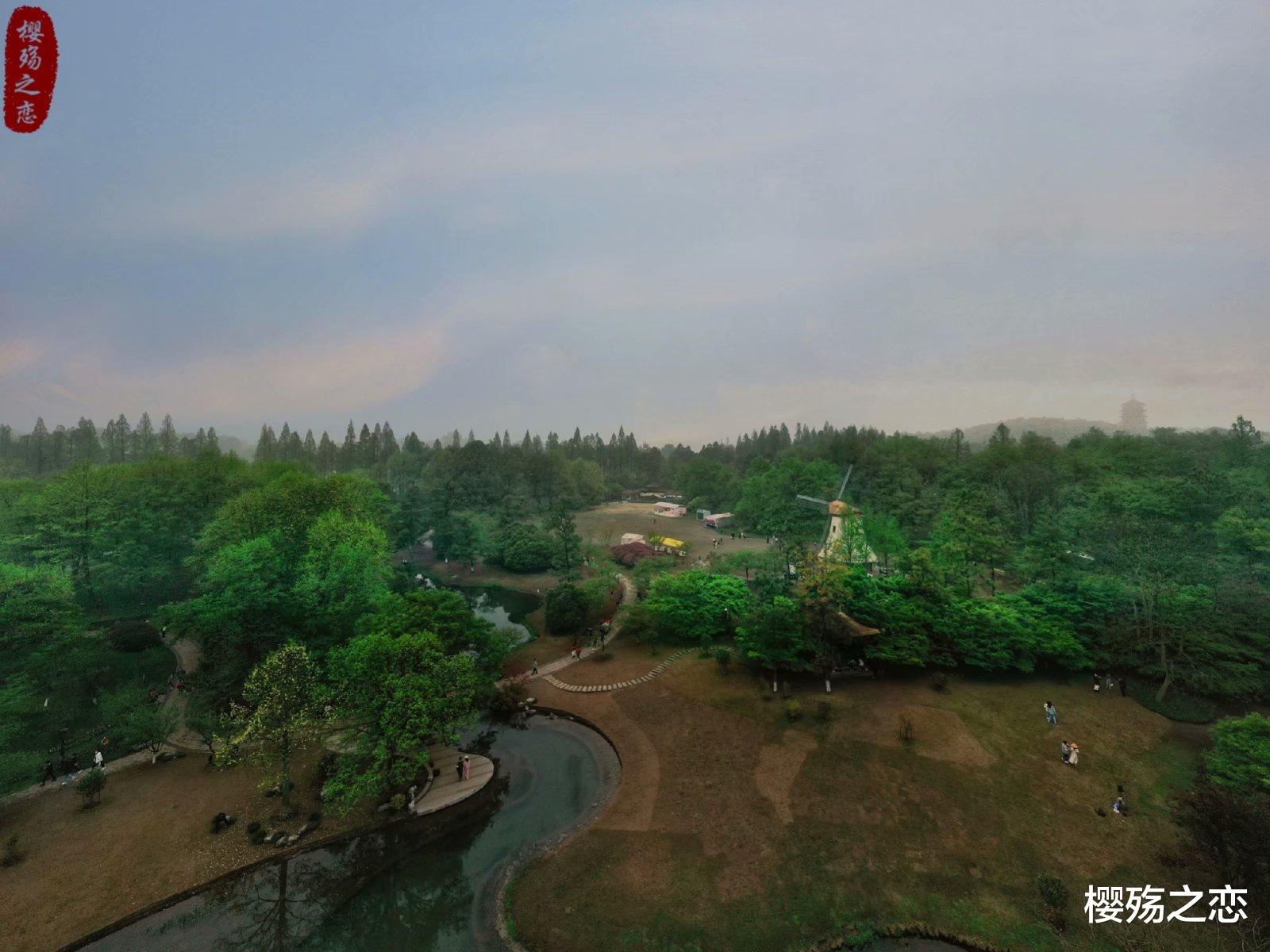 杭州 杭州最早的婚庆公园,一到春天就美得不像话,成功晋升为网红景点