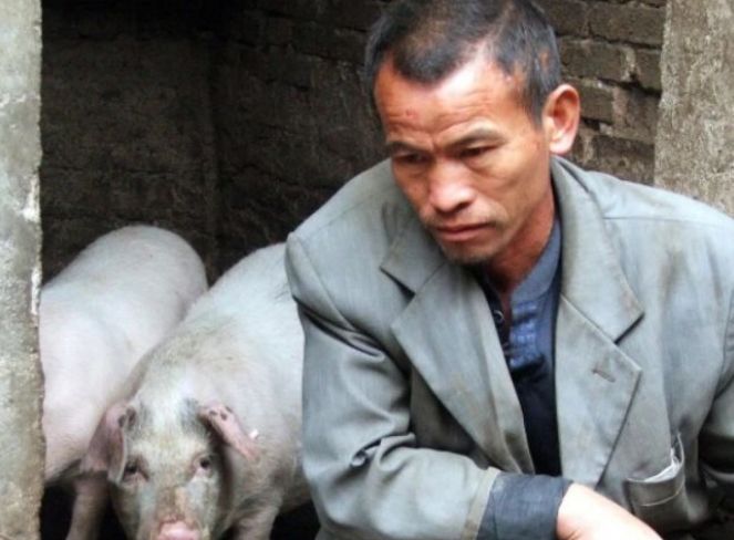 猪肉 猪价再迎“大跌”,要回到白菜价了?专家:2021年猪肉价是这样!