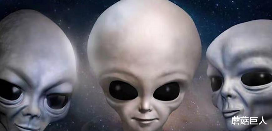 蘑菇巨人|3万年前的星空遗民,外星种族放在地球的小白鼠,你是其中之一吗?