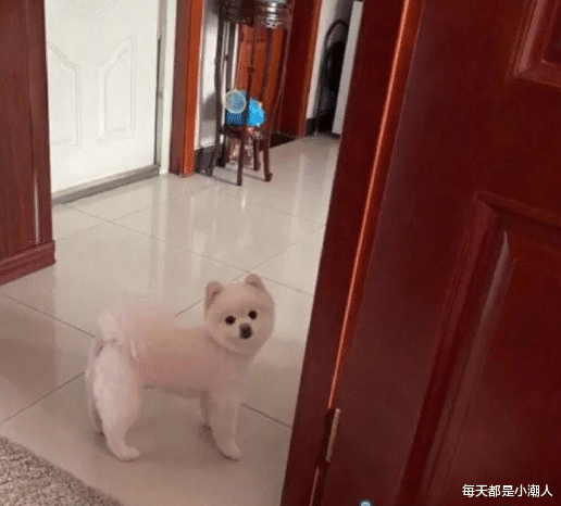 |现在的年轻人是如何追一个人的？看到下面这位兄弟的操作