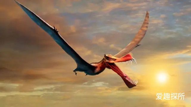 恐龙 真有“龙”的生物吗？近日在澳洲找到证实！