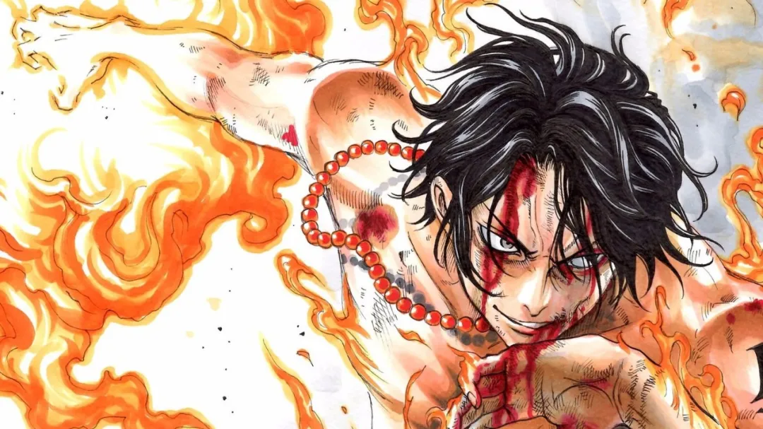 海贼王|航海王扬帆出海！！！这里有你想要的一切！！！