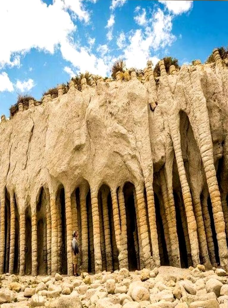 30张“冷知识”图片,看完大开眼界